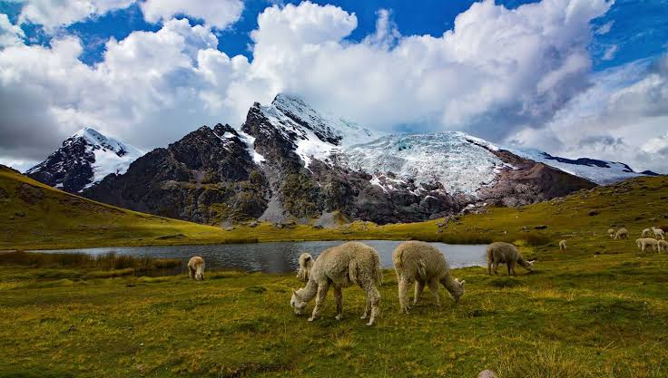 LARES TREK & INCA TRAIL 5 DAYS